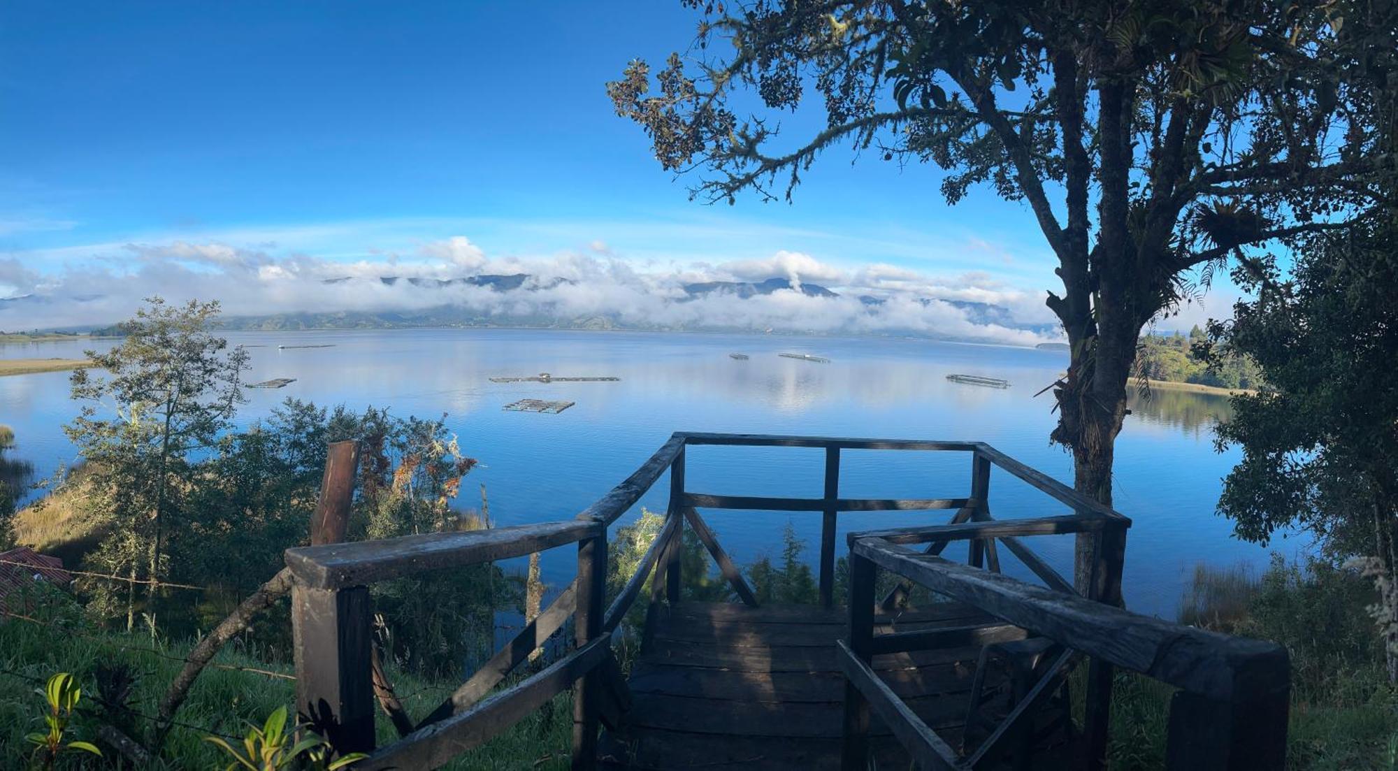 Bella Vista