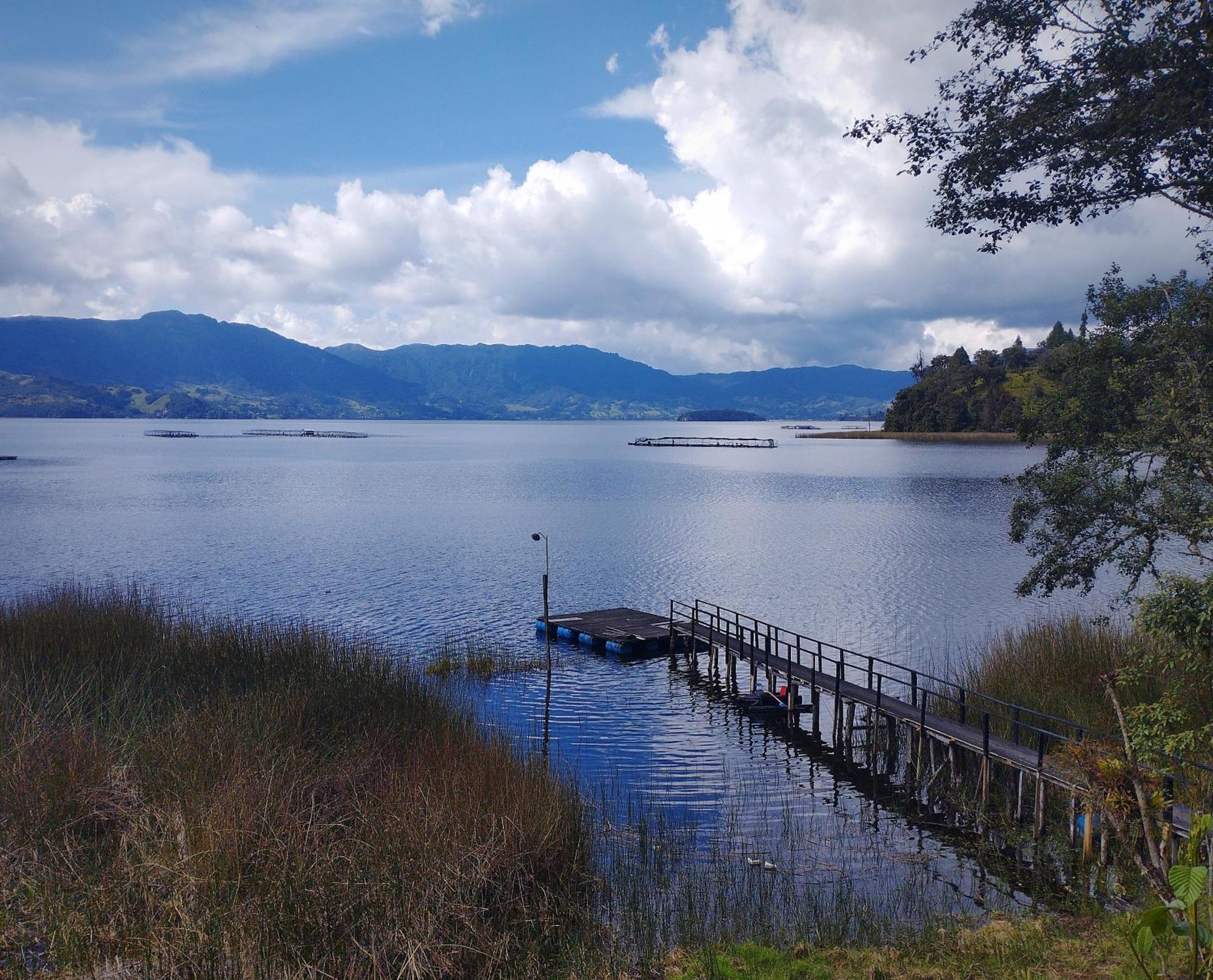 Bella Vista