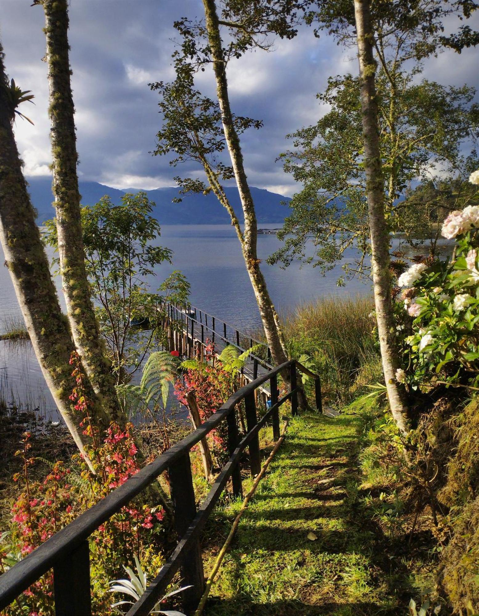 Bella Vista